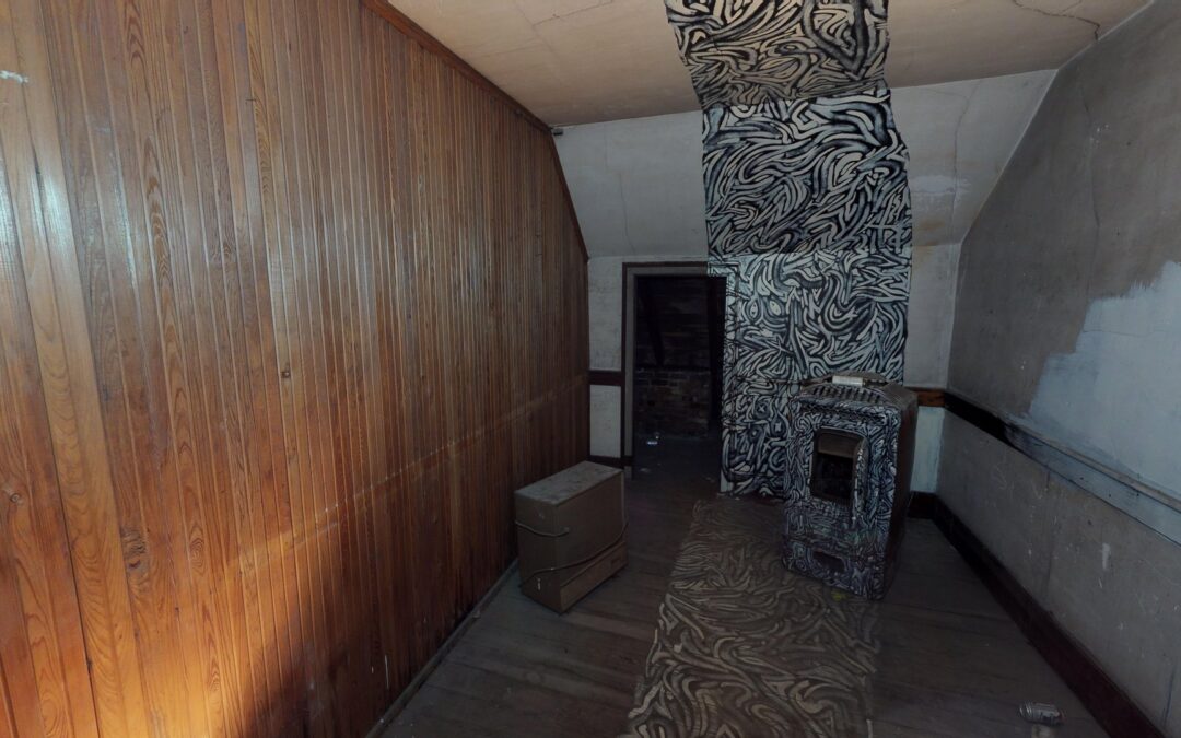 mp_image_from_url